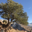 Cassie Richardson avatar