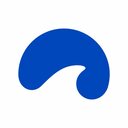 BlueDolphin support avatar