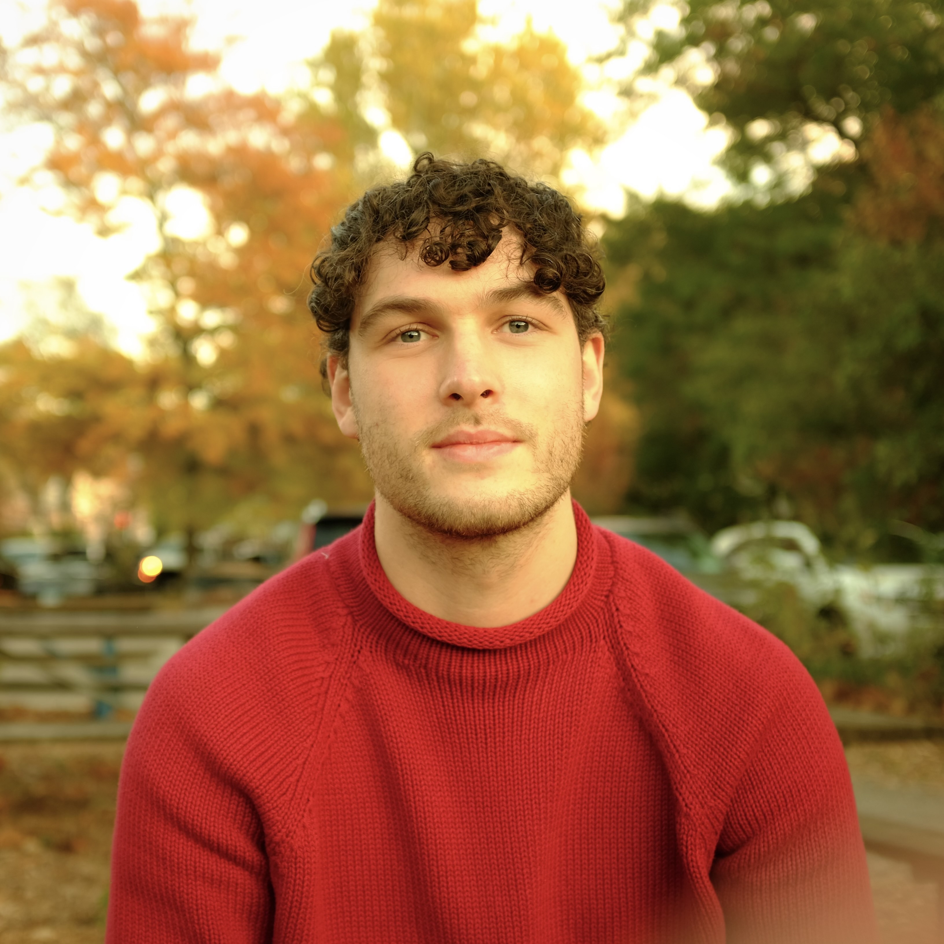 Daniel avatar