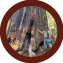 Chris V. - QC avatar