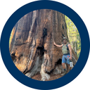 Chris V. - QC avatar