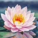 Jessica Solano avatar